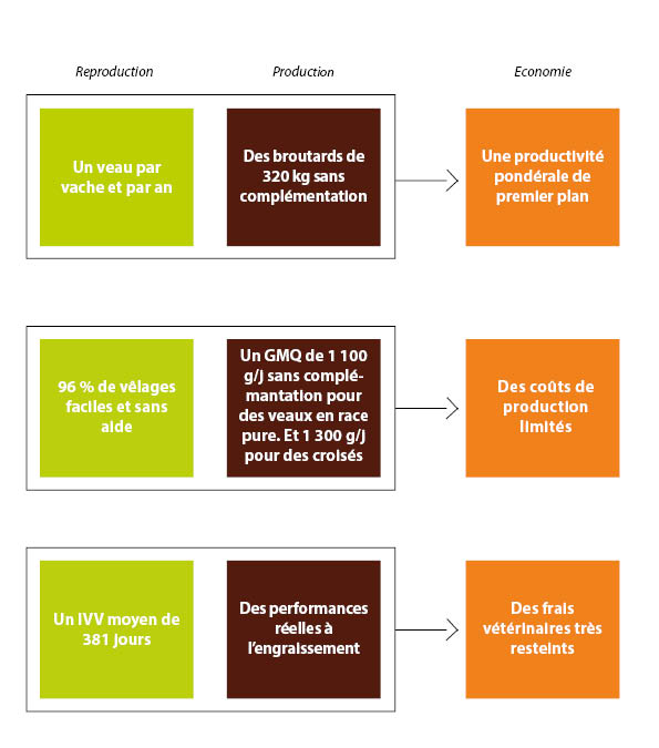 Chiffres clés 1