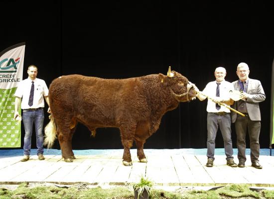 podium