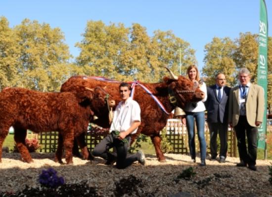 Jicky prix championnat femelles adultes