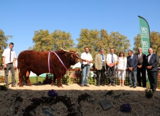 Gandalf prix championnat males