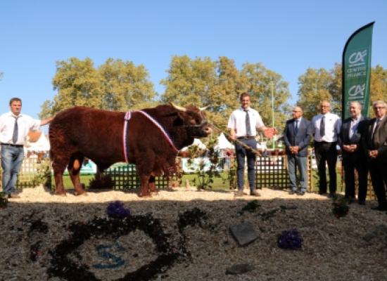 Jonas prix rappel championnat males