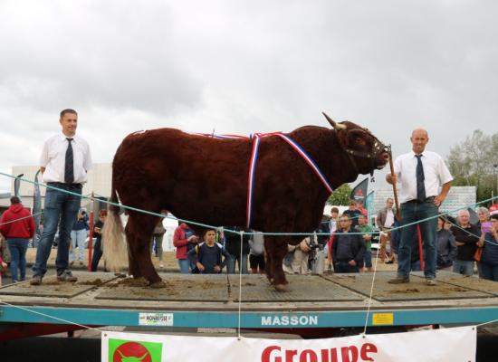 Champion Murphy Gaec du Buisson - Faugere Martine ©AnthonyR