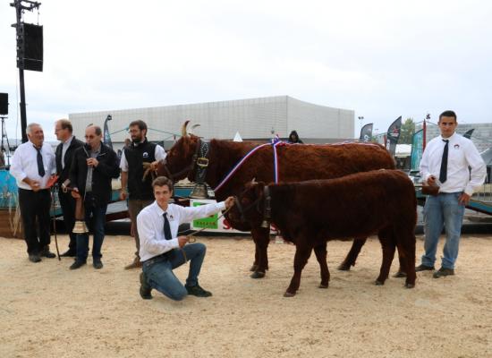 Championne Hyacinthe Gaec Fourtet Yves et Compagnie ©AnthonyR