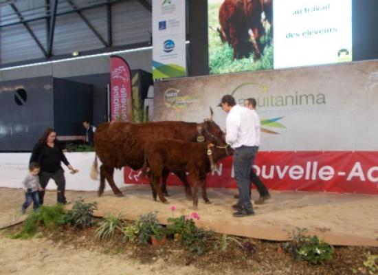 AQUITANIMA 2017