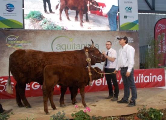 AQUITANIMA 2017