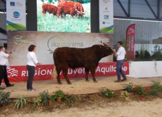 AQUITANIMA 2017