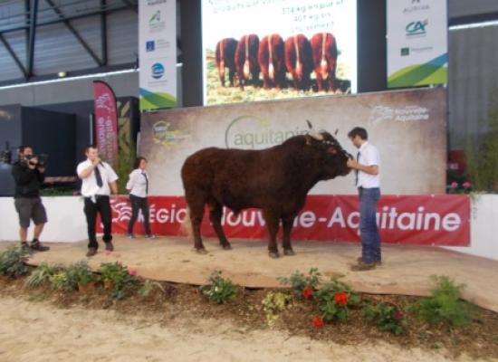 AQUITANIMA 2017