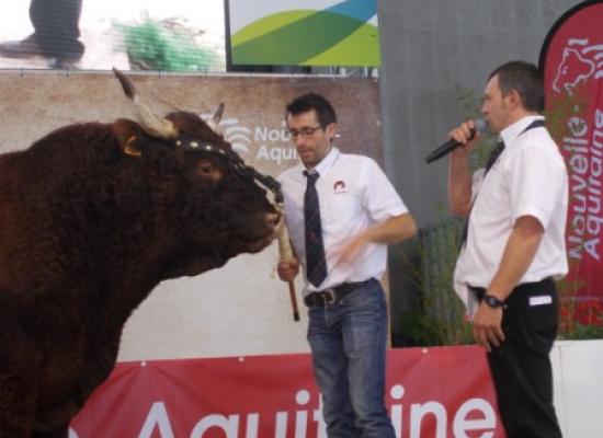AQUITANIMA 2017