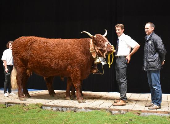 Hossie vache suitee 5 ans GAEC Conches