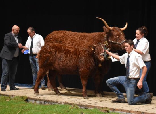 Galante vache suitee 6 ans Jarrige Philippe