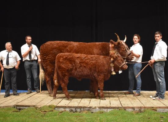 Gentiane meilleur index femelle Frullani Michel