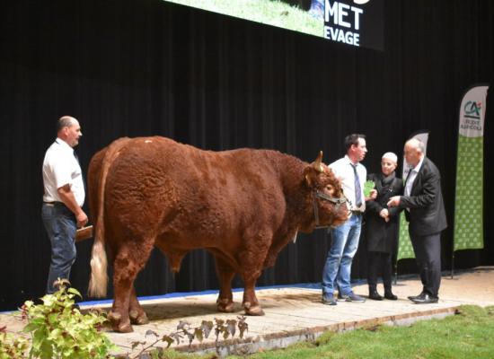 Gaulois meilleur index male GAEC Famille Champeix