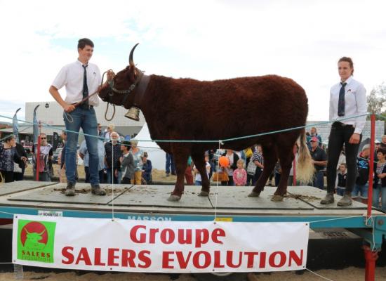 Doublonnes A Nonette Earl Elevage Roussel ©AnthonyR