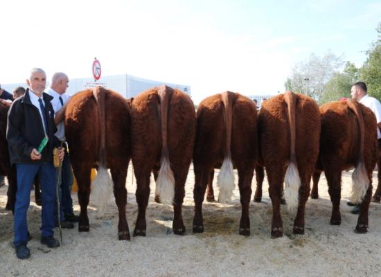 Groupes de Doublonnes Gaec Duval Claude Pere et fils ©AnthonyR