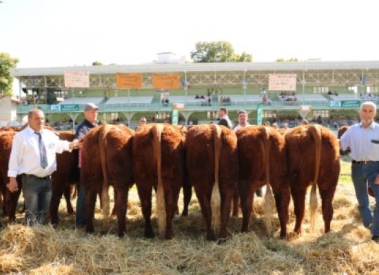 groupe bourrettes section B GAEC Dauphin Tarrit