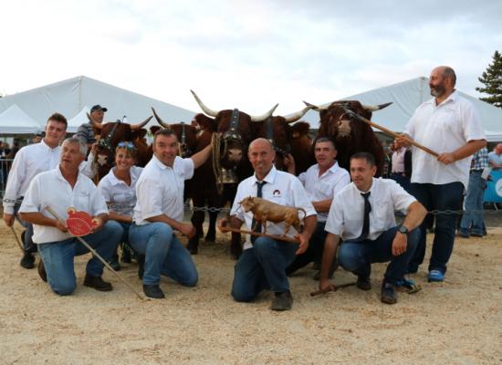 Prix d'honneur Gaec du Buisson (2) ©AnthonyR