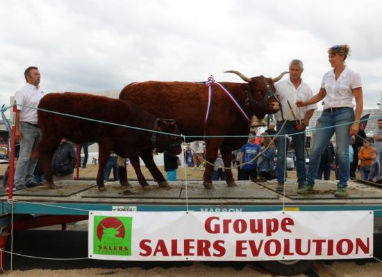 Rappel de Championnat Hirondelle Gaec du Buisson ©AnthonyR