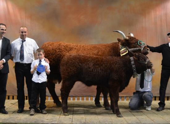 vaches suitées 7 ans et plus : sommet elevage 2012 (prix remis par Julien Fau représentant le Groupe Altitude)