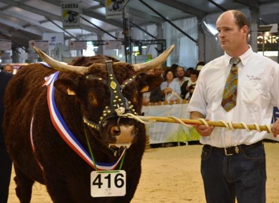 Championnat mâle sommet elevage