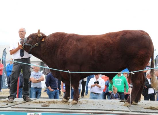 Top Index male Lorenzo Maurice Moncelon ©AnthonyR