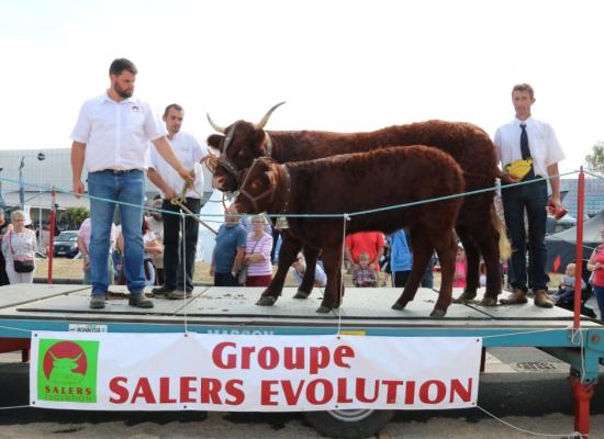 Vaches de 3 ans B Mandaille Gaec de Conches ©AnthonyR