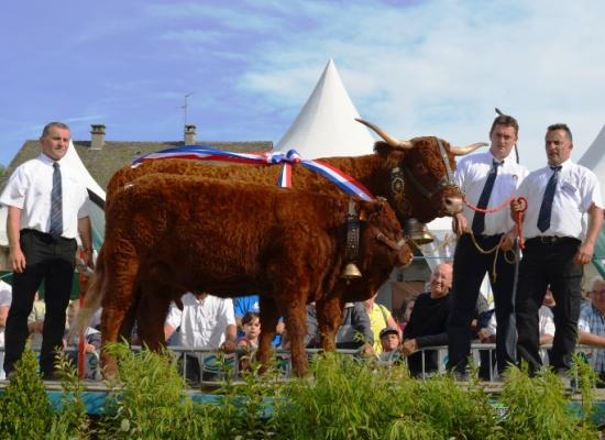 PRIX DE CHAMPIONNAT FEMELLES