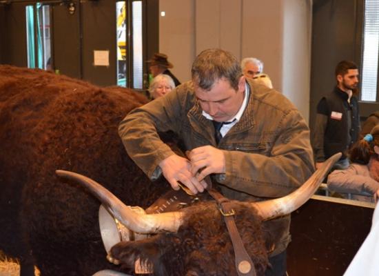 salon agriculture 2014