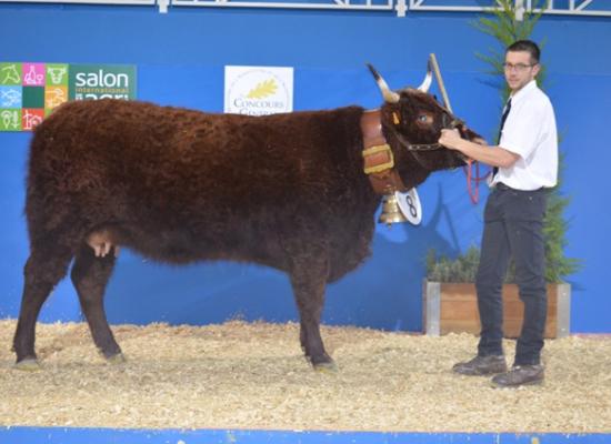 salon agriculture 2014 concours salers