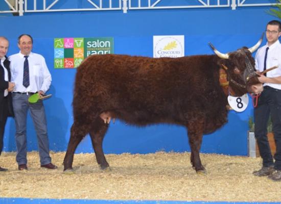 salon agriculture 2014 concours salers