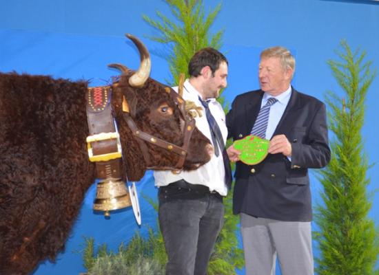 salon agriculture 2014 concours salers