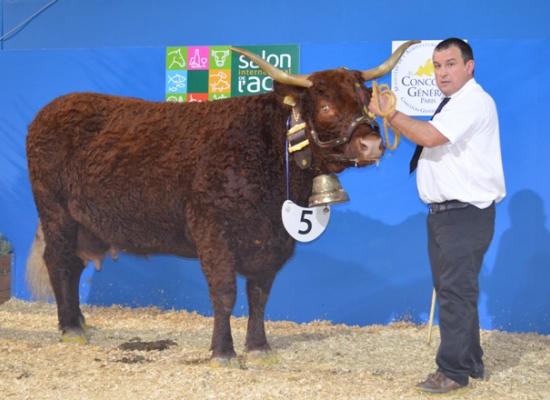 salon agriculture 2014 concours salers