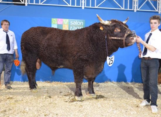 salon agriculture 2014 concours salers