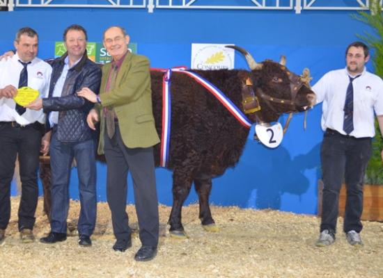 salon agriculture 2014 concours salers