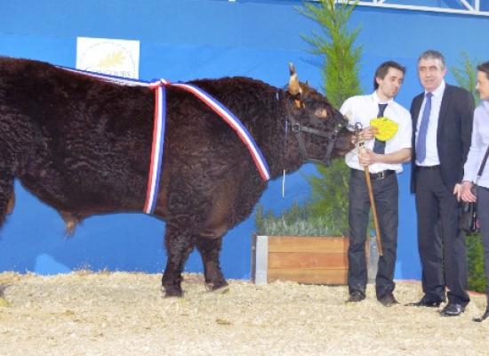 salon agriculture 2014 concours salers