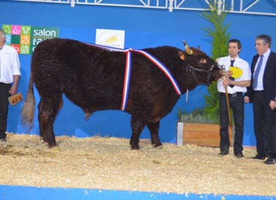 salon agriculture 2014 concours salers