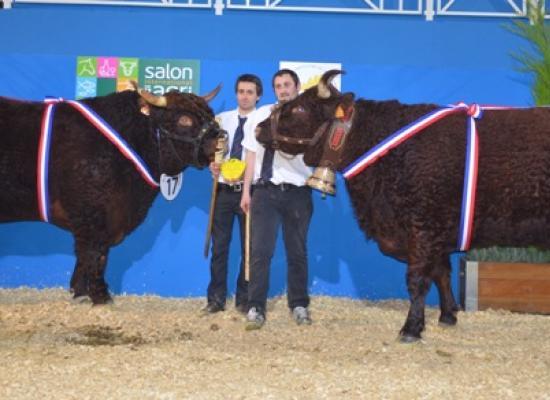 salon agriculture 2014 concours salers