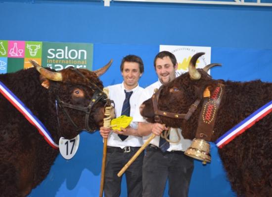 salon agriculture 2014 concours salers