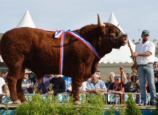 PRIX DE CHAMPIONNAT MALES