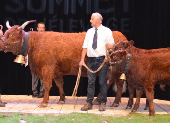 1er prix vaches suitées de 7 ans et plus - DIVINE - EARL DELCUZY