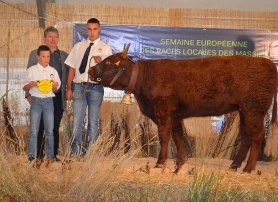 1er prix bourrettes allaitantes A - LORRAINE - RABOISSON Pierre