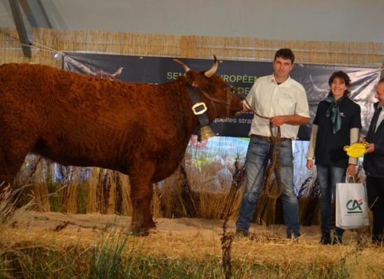 1er prix doublonnes allaitantes B - JONQUILLE - GAEC ROUGIER