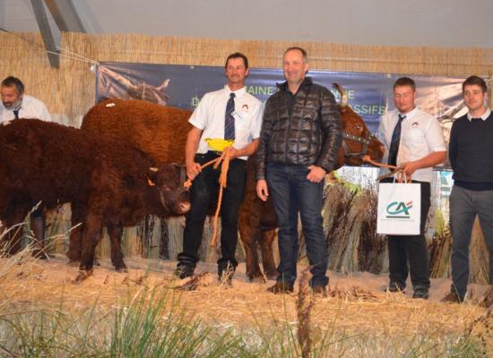 1er prix vaches suitées de 7 an et + DUCHESSE - GAEC DE CHARLUS