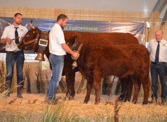 Prix du top index femelle - GRACIEUSE - GAEC FOURTET DAVID