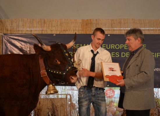 Prix du top index jeune femelle - IDEALE - EARL DES ACAJOUS DU PERIGORD