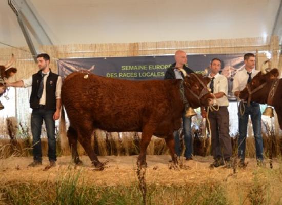 Les 3 podiums du rameau laitier