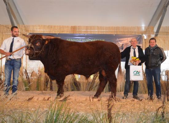 1er prix doublons allaitants A - JAIR - GAEC FOURTET DAVID