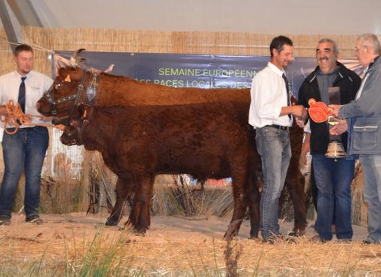 Prix du championnet femelle adulte - DUCHESSE - GAEC DE CHARLUS