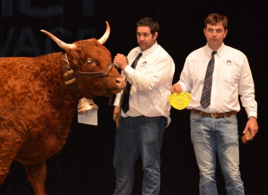 1er prix doublonnes - JONQUILLE - GAEC ROUGIER (15)