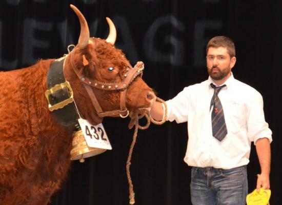 1er prix vaches suitées de 3 ans - IRLANDE - GAEC PHIALIP