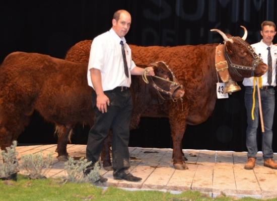 Championnat femelle - HOSSIE - GAEC LAFON DE CONCHES